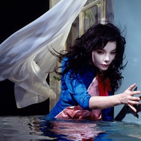 Bjork